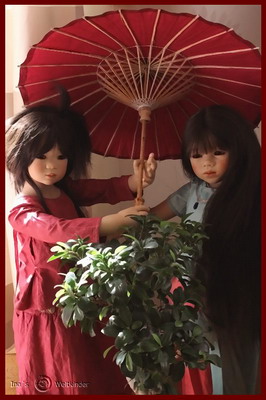 Shilin, Mithi